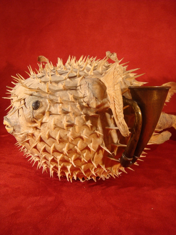 Ancien acoustique en laiton collection Epoque XIX ème