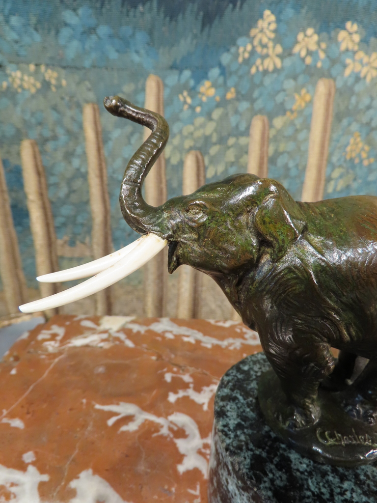 IMG_5916